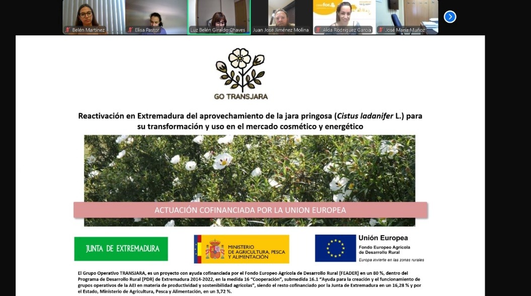 GO TRANSJARA participa en la acción online Ecosistema: la I+D+i y el desarrollo de las zonas rurales