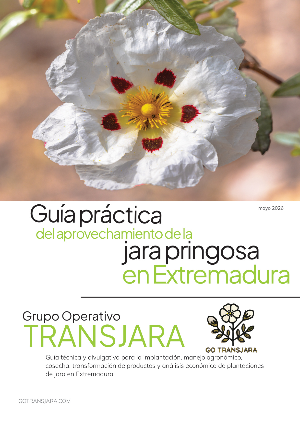 Guía práctica del aprovechamiento de la jara pringosa en Extremadura