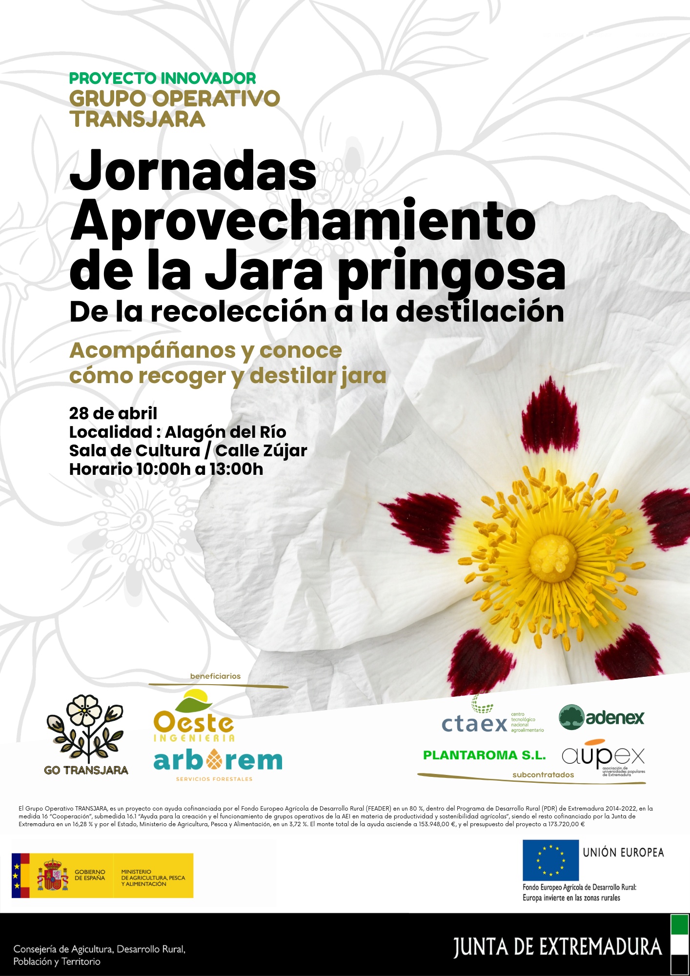 Jornada de transferencia en Alagón del Río: aprovechamiento de la jara pringosa de la recolección a la destilación
