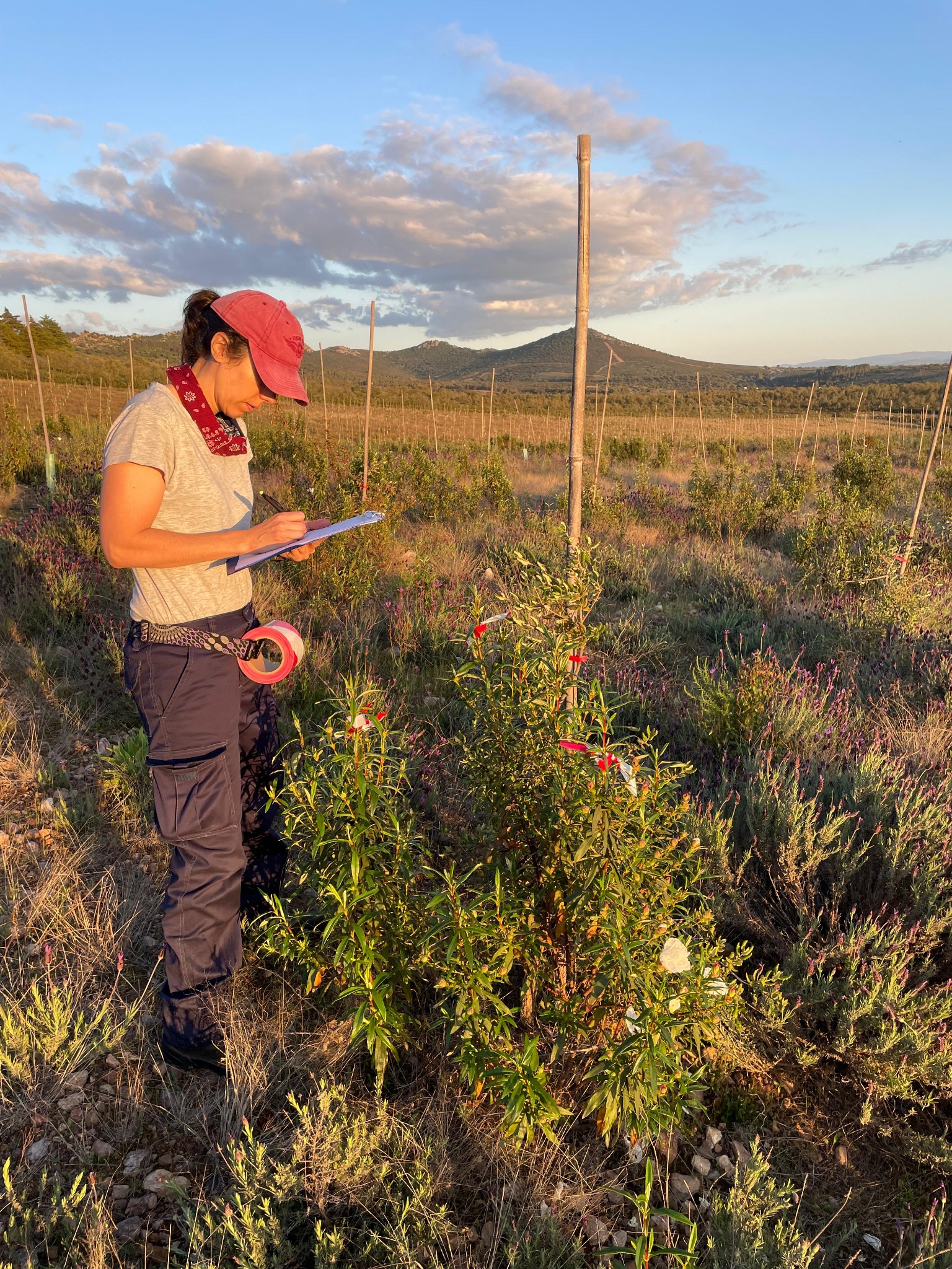 Seguimiento técnico en campo